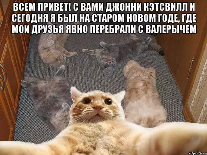 Джонни кэтсвилл фото приколы