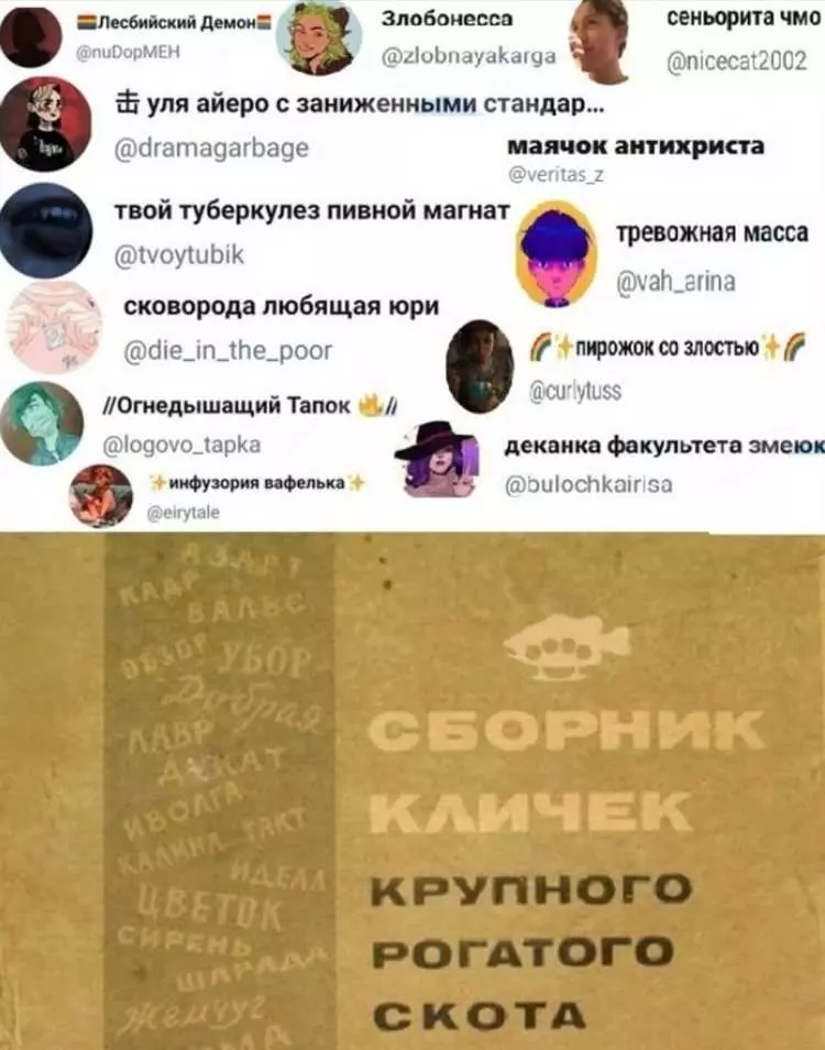 Лучшие ники для Твиттера: стильные и оригинальные