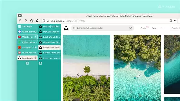 Vivaldi - удобный и функциональный инструмент для работы с закладками
