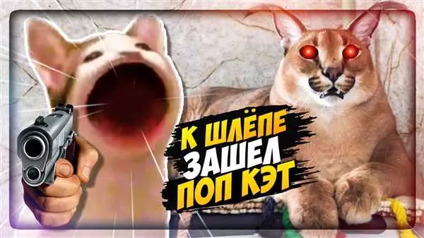 5 ночей с шляпой