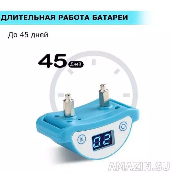 Антимяу для кошек: советы и рекомендации