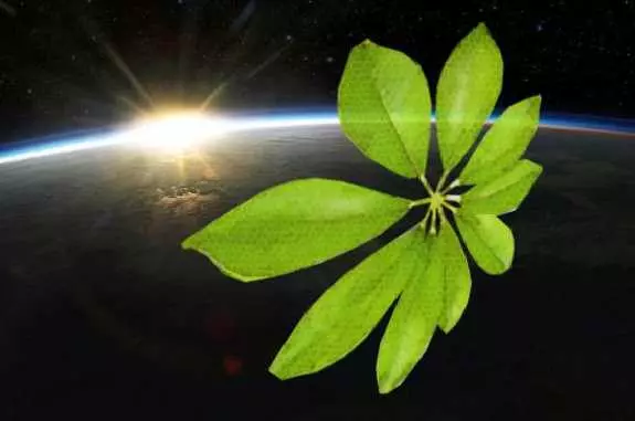 Биомодуль - инновационное решение для оптимизации процессов в биологии и медицине