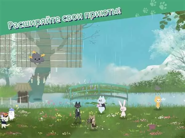 Игра в приют для кошек