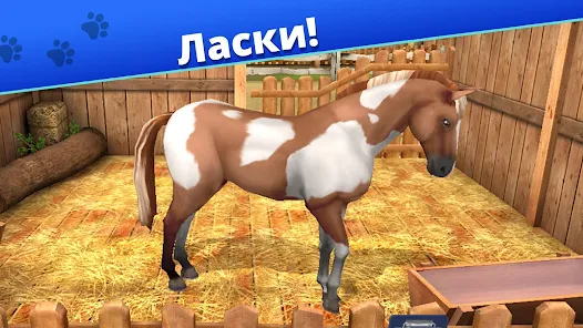 Игра приют для животных
