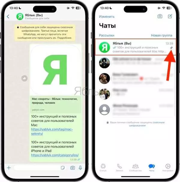 Как отправить сообщение самому себе в WhatsApp