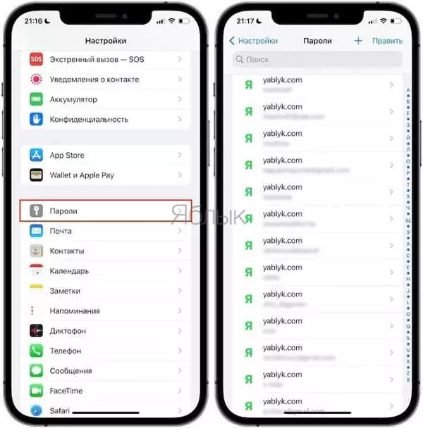 Как узнать пароли от приложений на iPhone