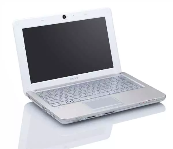 Нетбук Sony Vaio - отличное решение для работы и развлечений