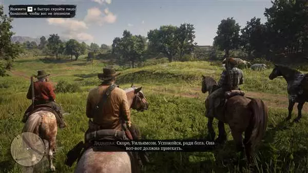 Обзор игры Red Dead Redemption 2