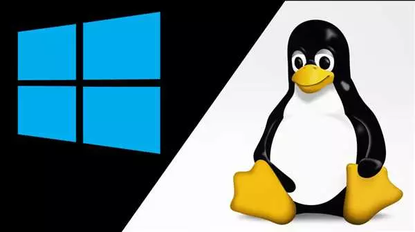 Windows Linux